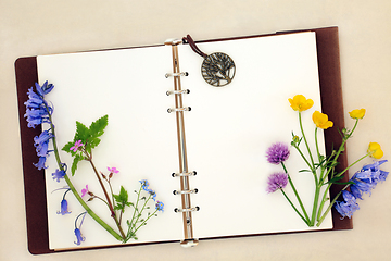 Image showing English Spring Wildflower Nature Study