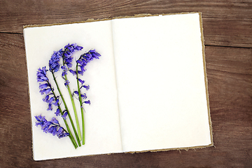 Image showing Bluebell Flower Nature Study with Old Hemp Paper Notebook