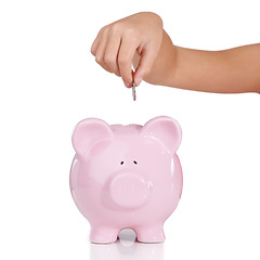 Image showing Hand, piggy bank and coins in studio closeup with savings, investment and financial security by white background. Person, money box and animal container for cash, learning and funding for future