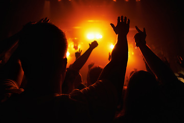 Image showing Club, concert and audience with hands or lights for music, party and rave festival with silhouette and dancing. Disco, psychedelic event or performance with entertainment, crowd and rear view gesture