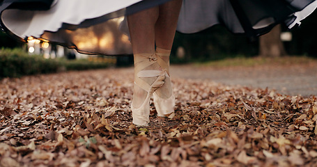 Image showing Ballet, feet and pointe or dancer outdoor in nature for professional street performance, practice or spin. Shoes, leaves and closeup in Japanese garden or artist expression, creative or entertainment