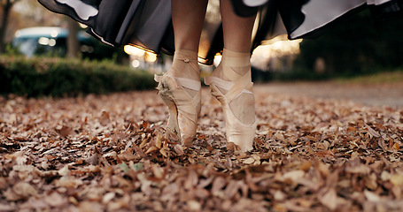 Image showing Ballet, feet and pointe or dancer outdoor in nature for professional street performance, practice or spin. Shoes, leaves and closeup in Japanese garden or artist expression, creative or entertainment