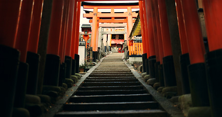 Image showing Stairs in Torii gate tunnel with temple, peace and mindfulness on travel with spiritual history. Architecture, Japanese culture and steps on orange path at Shinto shrine monument in forest in Kyoto