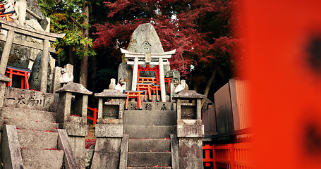 Image showing Stone Shinto shrine with Torii gate, statue and peace on travel with spiritual history in Kyoto. Architecture, Japanese culture and temple in forest with steps, sculpture and memorial in autumn trees