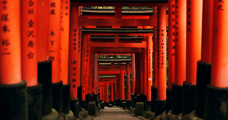 Image showing Japan, red torii gates and path in Fushimi inari-taisha for vacation, holiday or walkway for tourism. Pathway, Shinto religion and shrine in Kyoto for traditional architecture or spiritual culture