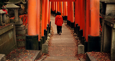 Image showing Man on path walking in Torii gate in Kyoto with peace, mindfulness and travel with spiritual history. Architecture, Japanese culture and person in orange tunnel at Shinto shrine in forest from back.