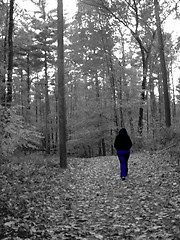 Image showing walking in the woods