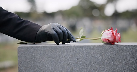 Image showing Funeral, cemetery and person with rose on tombstone for remembrance, ceremony and memorial service. Depression, sadness and hands with flower on gravestone for mourning, grief and loss in graveyard