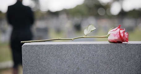 Image showing Funeral, cemetery and hands with rose on tombstone for remembrance, ceremony and memorial service. Depression, sadness and person with flower on gravestone for mourning, grief and loss in graveyard