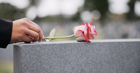 Image showing Funeral, cemetery and hands with rose on tombstone for remembrance, ceremony and memorial service. Depression, sadness and person with flower on gravestone for mourning, grief and loss in graveyard