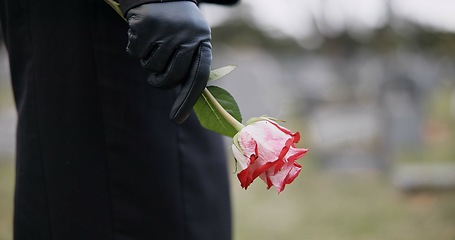 Image showing Funeral, cemetery and hands of person with flower for remembrance, ceremony and memorial service. Depression, death and closeup of rose for mourning, grief and loss in graveyard for bereavement