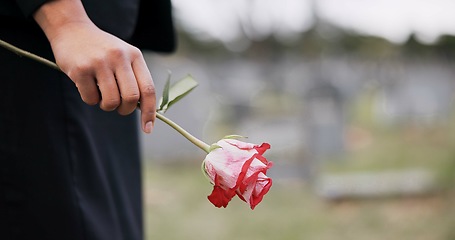 Image showing Funeral, cemetery and hands of person with rose for remembrance, ceremony and memorial service. Depression, death and closeup of flower for mourning, grief and loss in graveyard for bereavement