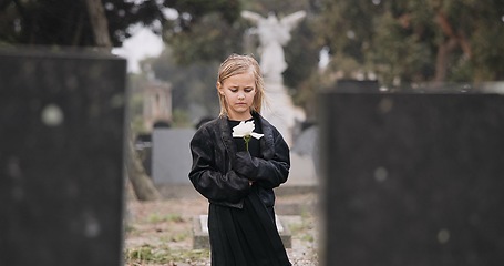 Image showing Flower, death or kid in cemetery for funeral. spiritual service or grave visit for repsect in Christian religion. Mourning, goodbye or sad girl child outside in graveyard for grief, loss or farewell