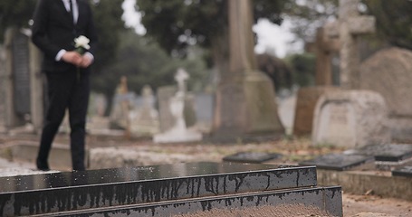 Image showing Funeral, walking in cemetery and man with flower for remembrance, burial ceremony and memorial service. Depression, death and sad person with rose for mourning, grief or loss in graveyard for respect