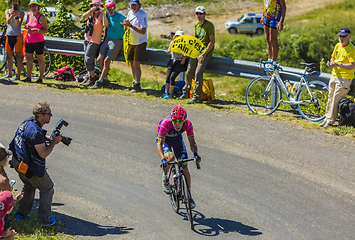 Image showing  The Cyclist Jan Polanc - Tour de France 2016