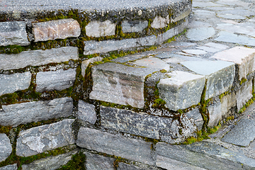 Image showing Moss-covered stone steps in an outdoor setting during daytime