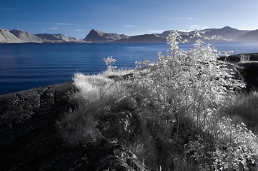 Image showing Infrared capture of calm sea with mountains in the background and foliage in the foreground.