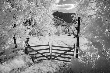 Image showing A tranquil infrared scene with a rustic gate, surrounded by ghostly trees in a mountainous region under a clear sky.