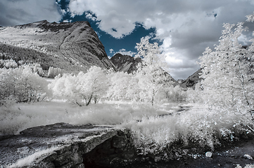 Image showing A tranquil scene captured using infrared photography, showcasing white foliage against dark mountain peaks.