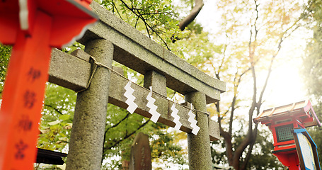 Image showing Torii gate, shide and temple in forest in Japan with zen, spiritual history and monument in garden. Nature, trees and Japanese architecture woods with Asian culture, sunshine and stone shrine in park