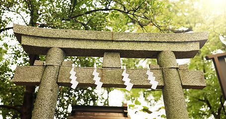 Image showing Torii gate, trees or nature in japan for worship, holy or prayer location for peace in forest. Asian architecture, culture and ancient symbol with religion, god and gateway of sacred to shinto shrine