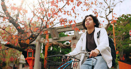 Image showing Bicycle, travel and man riding by building for exercise or transportation to college academy. Fitness, backpack and young male student driving a bike to university for carbon footprint by houses.