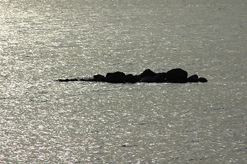Image showing Island in the stream