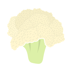 Image showing Cauliflower Icon