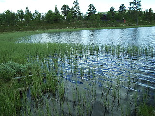 Image showing Peaceful lake