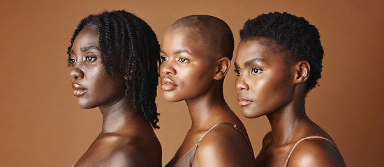 Image showing Skincare, beauty and young black women in studio with glowing, natural and facial routine. Wellness, cosmetic and portrait of African female friends with dermatology treatment by brown background.