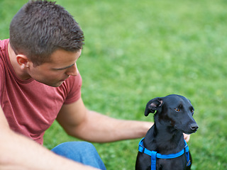 Image showing Man, dog and outdoor park for bonding connection, pet health training for obedience. Male person, animal and hugging at rescue shelter garden for happy home care play, environment walk on grass field