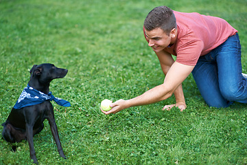 Image showing Man, dog and play ball on grass field for bonding connection, outdoor park for sports training. Male person, pet animal and fun equipment for catch throw in environment for love, care or friendship