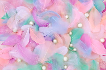 Image showing Feather and Oyster Pearl Abstract Background 