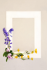 Image showing Spring Bluebell Buttercup and Blossom Flower Background Frame