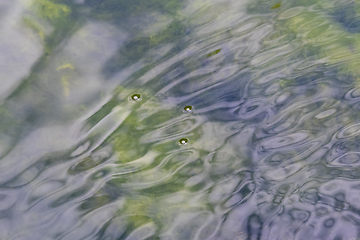 Image showing water surface closeup