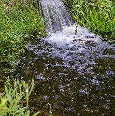 Image showing flowing water