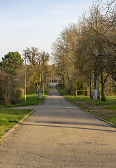 Image showing suburb lane