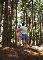 Image showing Couple, hiking and hug in forest for love, embrace or support in trust, care or bonding in nature. Rear view or back of young man and woman in romance, affection or walking together in outdoor woods