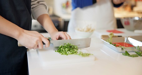 Image showing Chef hands, knife and spring onion in restaurant, chopping and prepare ingredients for catering services. Person, cutting vegetables and cooking food for diet, nutrition and health at Japan Tokyo