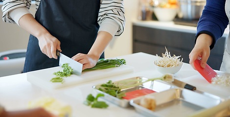 Image showing Chef hands, knife and spring onion for cooking, chopping and prepare ingredients for catering services. Person, cutting vegetables and food for diet, nutrition and fine dining at restaurant in Tokyo