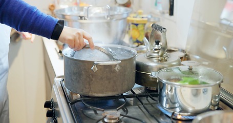 Image showing Cooking, kitchen and hands of person with pot in boiling water for lunch, meal preparation and dinner. Steam, cuisine and traditional dish, ingredients and food for wellness, diet and nutrition