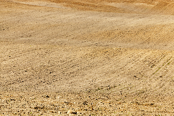 Image showing wavy plowed field