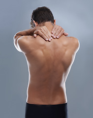 Image showing Back pain, injury problem and studio person with medical emergency, sore backbone or osteoporosis. Backache, spine risk and model with body ache, fibromyalgia or hurt muscle strain on grey background