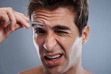 Image showing Plucking, eyebrow and portrait of man with tweezers, hair removal and pain in grey background of studio. Beauty, epilation and person with grooming routine and treatment for self care with tools