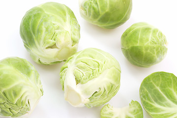 Image showing Brussels Sprouts