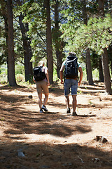 Image showing Couple of friends walking, trekking in nature and travel fitness, adventure or cardio in forest with wellness. Back of people hiking with backpack on path, eco friendly and carbon footprint journey