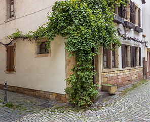 Image showing vine at a house facade