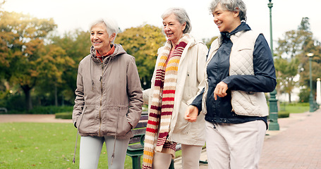 Image showing Senior friends, talking and walking together on an outdoor path to relax in nature with elderly women in retirement. Happy, people pointing and conversation in the park or woods in autumn or winter