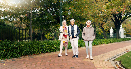 Image showing Senior friends, walking and talking together on an outdoor path to relax in nature with elderly women in retirement. People, happy conversation and healthy exercise in the park in autumn or winter