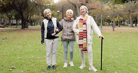 Image showing Smile, retirement and senior friends in the park, laughing together while standing on a field of grass. Portrait, freedom and comedy with a group of elderly women in a garden for fun or humor